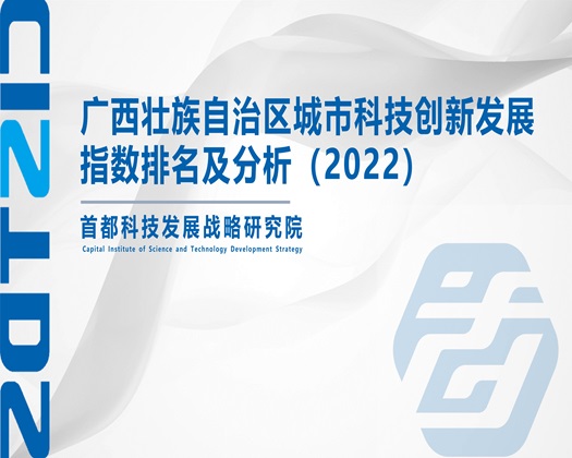 xx骚逼.com【成果发布】广西壮族自治区城市科技创新发展指数排名及分析（2022）